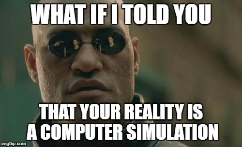 What if I told you reality is also just a simulation